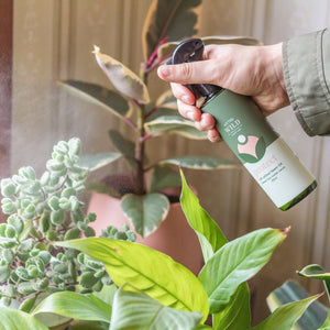 Protect - Plant Spray - Floral Alchemy