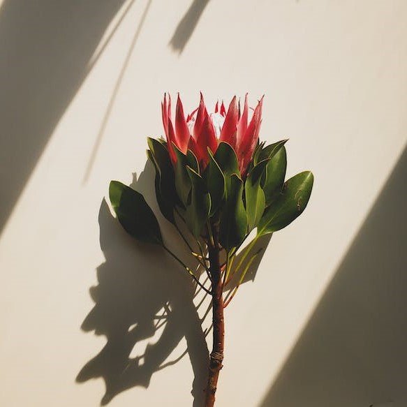 Floral Styling at Home