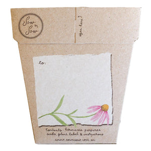 ECHINACEA Gift Of Seeds - Floral Alchemy