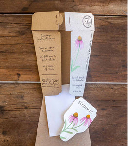 ECHINACEA Gift Of Seeds - Floral Alchemy
