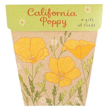 Load image into Gallery viewer, CALIFORNIA POPPY Gift Of Seeds - Floral Alchemy