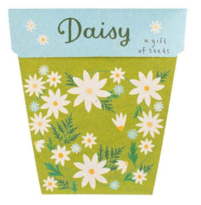 DAISY Gift Of Seeds - Floral Alchemy