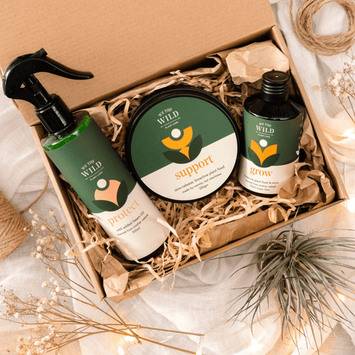 Essentials Kit - Plant Care - Floral Alchemy