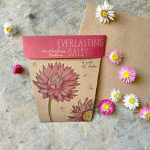Load image into Gallery viewer, EVERLASTING DAISY Gift Of Seeds - Floral Alchemy