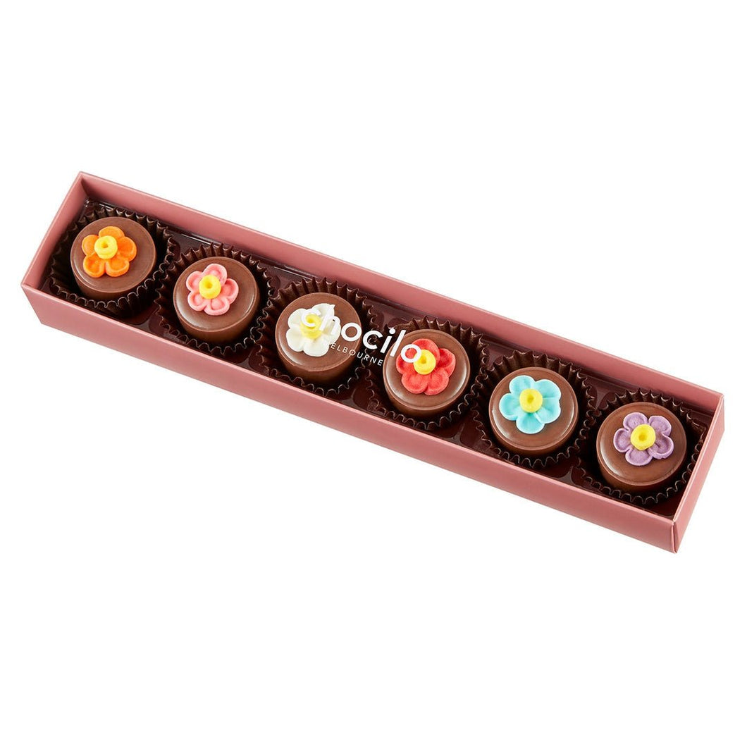 FLOWER POTS - Praline Chocolates 6pk - Floral Alchemy