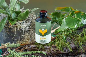 Grow - Plant Tonic - Floral Alchemy