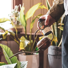 Load image into Gallery viewer, Grow - Plant Tonic - Floral Alchemy