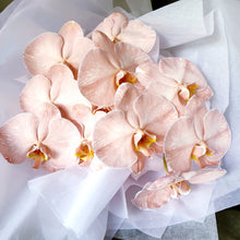 Load image into Gallery viewer, LUXE - Floral Alchemy