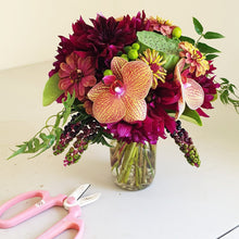 Load image into Gallery viewer, PIXIE - Floral Alchemy