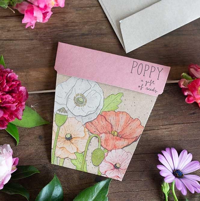 POPPY Gift Of Seeds - Floral Alchemy