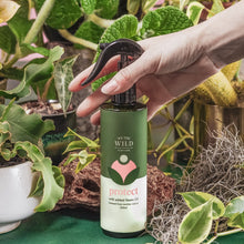 Load image into Gallery viewer, Protect - Plant Spray - Floral Alchemy