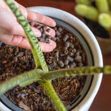 Load image into Gallery viewer, Support - Plant Food Pellets - Floral Alchemy