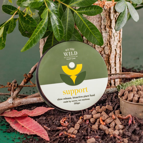 Support - Plant Food Pellets - Floral Alchemy