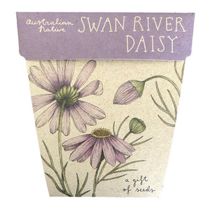 SWAN RIVER DAISY Gift Of Seeds - Floral Alchemy
