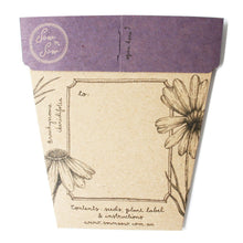Load image into Gallery viewer, SWAN RIVER DAISY Gift Of Seeds - Floral Alchemy