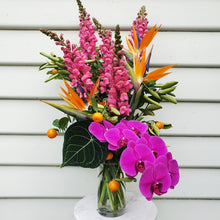 Load image into Gallery viewer, VIVACIOUS - Floral Alchemy