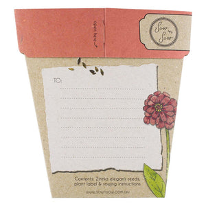 ZINNIA Gift Of Seeds - Floral Alchemy