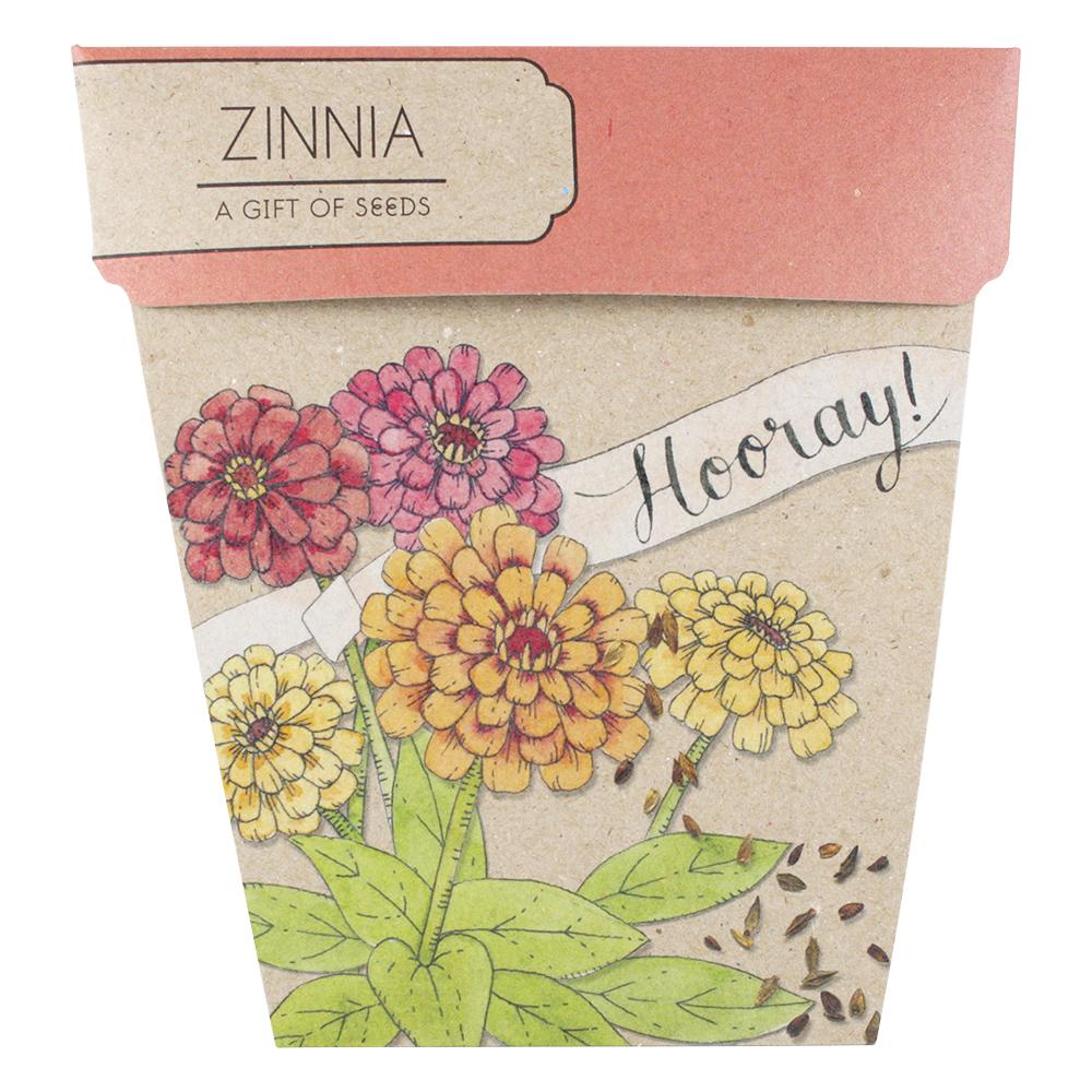 ZINNIA Gift Of Seeds - Floral Alchemy